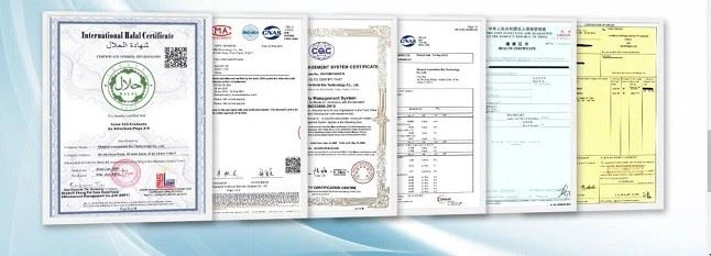 Chaste Tree Berry Extract Powder