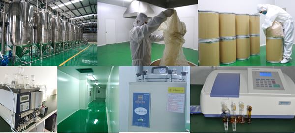 grape Seed Extract Powder (2)