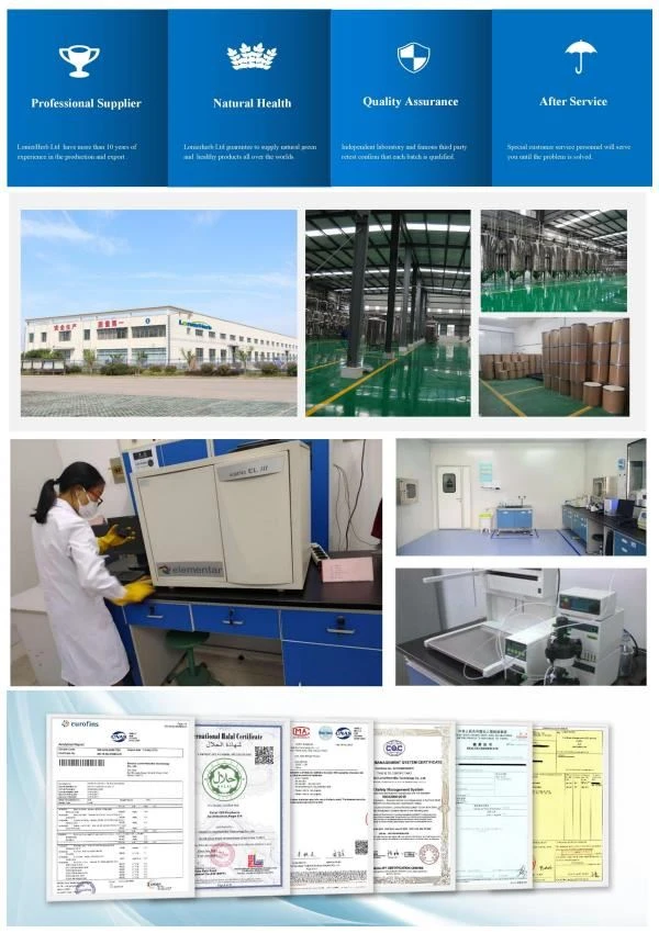 Manufacturer of Radix Codonopsis Extract