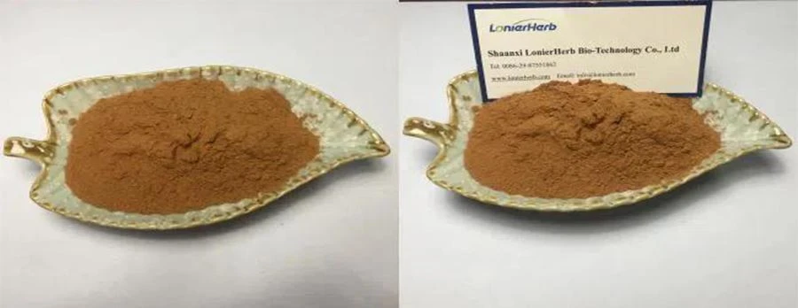 Codonopsis Root Extract