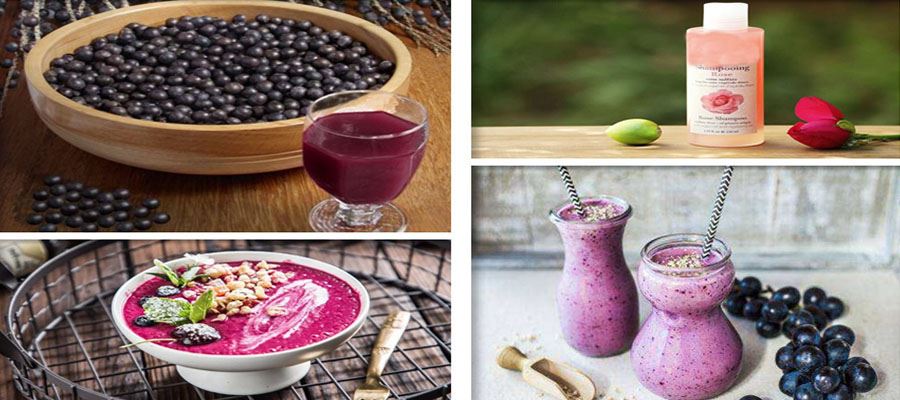 Acai Berry Fruit Powder