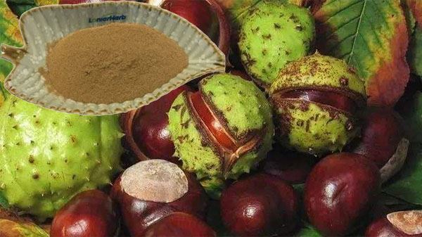 Horse Chestnut Extract Powder