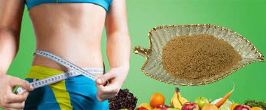 Nomame Semaherb Extract Powder