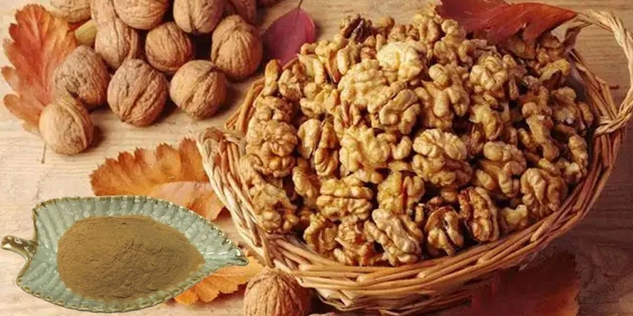 Walnut Seed Extract Powder