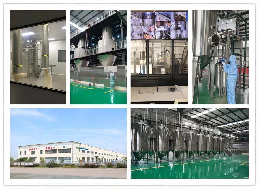 product-898-654 LonierHerb Factory 18