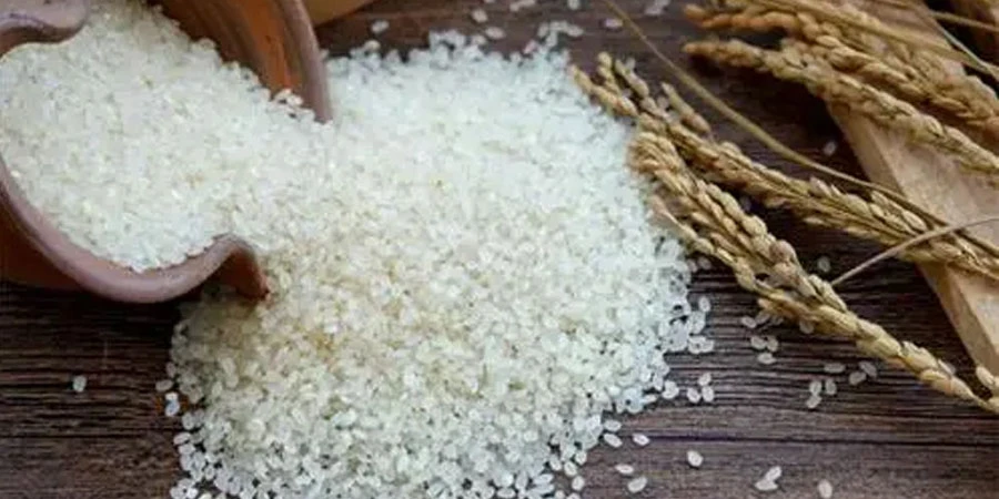 rice protein