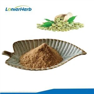 Green Coffee Bean Extract Powder