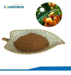 Loquat Nplooj Extract