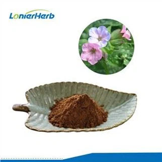 Lungwort Extract hmoov