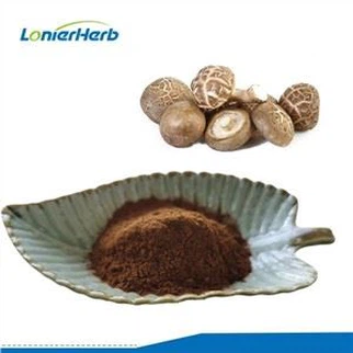 Shiitake Mushroom Extract hmoov