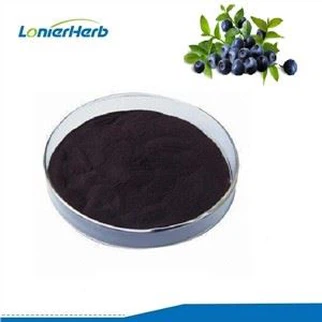 Vaccinium Myrtillus Extract
