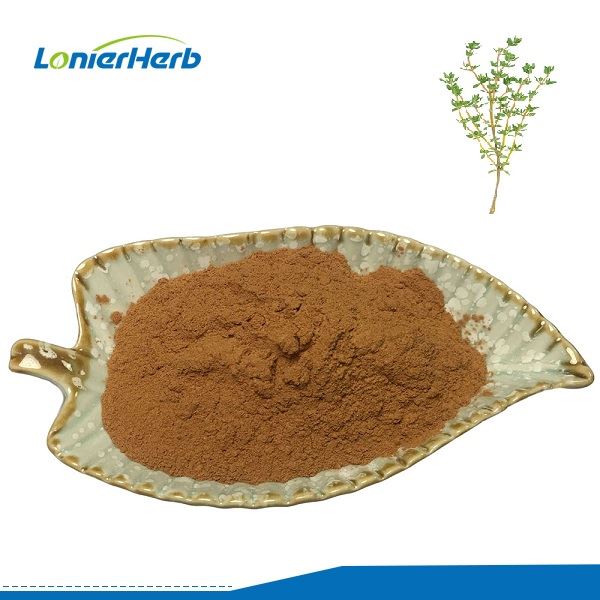 Thyme Extract