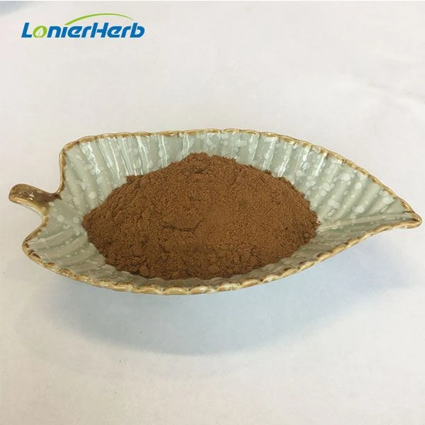 Lion's Mane Extract Powder