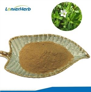 Bacopa 50% Bacosides