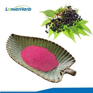 Elderberry Txiv Hmab Txiv Ntoo Hmoov