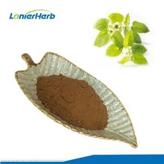 Lemon Balm Extract hmoov