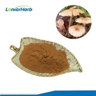 Marasmius Androsaceus Extract