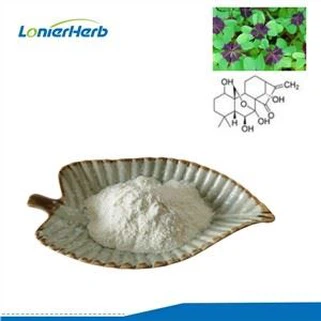 Rabdosia Rubescens Extract