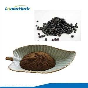 Touchi Extract