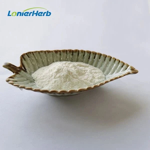 Best Rice Protein Powder