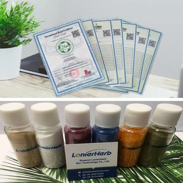 Bilirubin Powder best