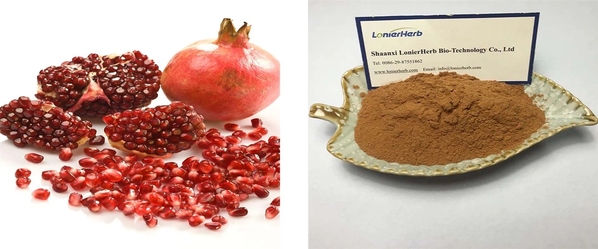 Pomegranate Extract Ellagic Acid Pomegranate Extract Ellagic Acid