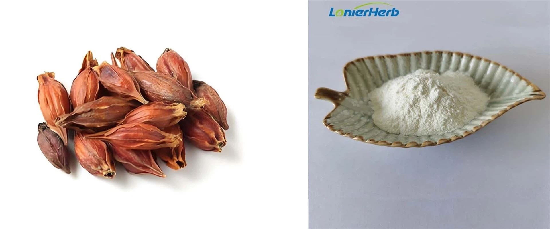 Genipin Powder Genipin Powder