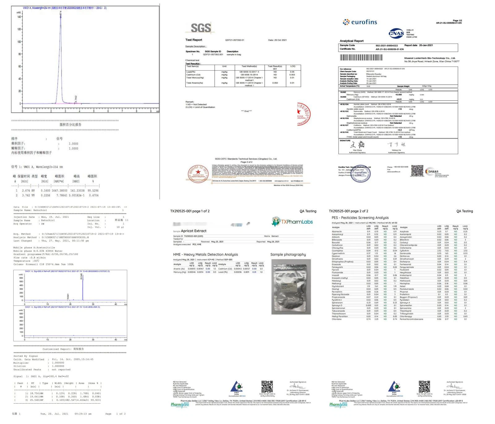 Test Report Test Report